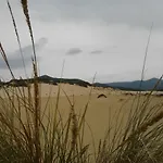 Naracauli