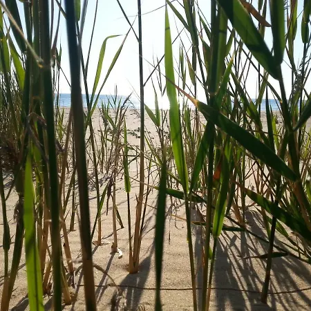 Naracauli Magazzini (Sardinia)