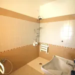 Naracauli 3*