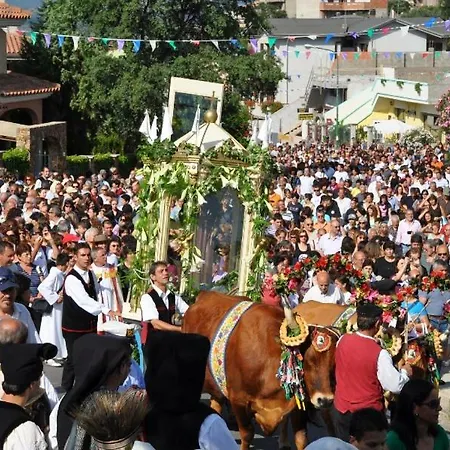 纳拉考利住宿加早餐旅馆 2* Magazzini (Sardinia)