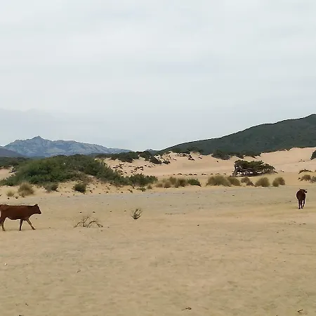 Naracauli 住宿加早餐酒店 3*