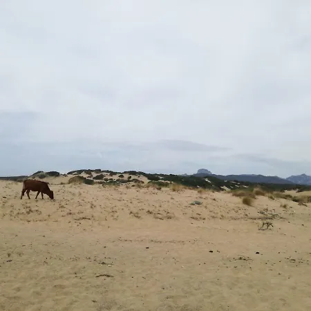 Naracauli 3* Magazzini (Sardinia)