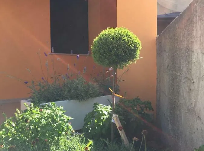 Naracauli Bed & Breakfast