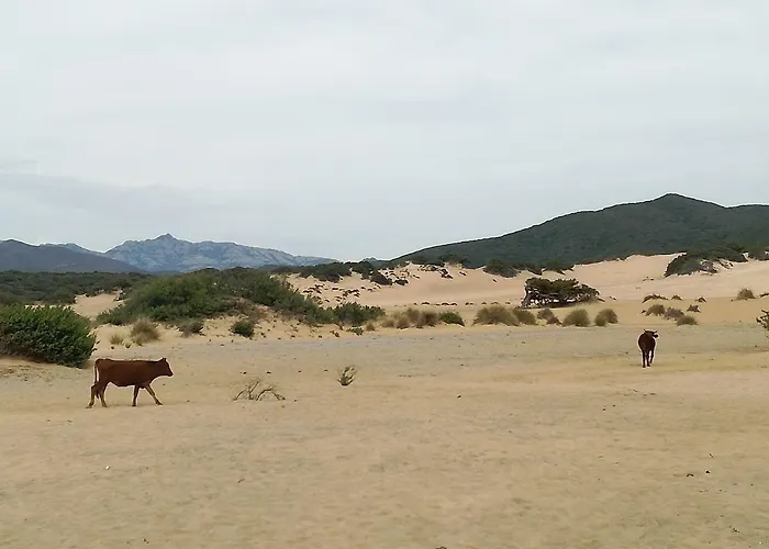 Naracauli Bed & Breakfast 3*