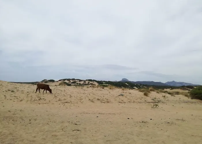 Naracauli 3* Magazzini (Sardinia)