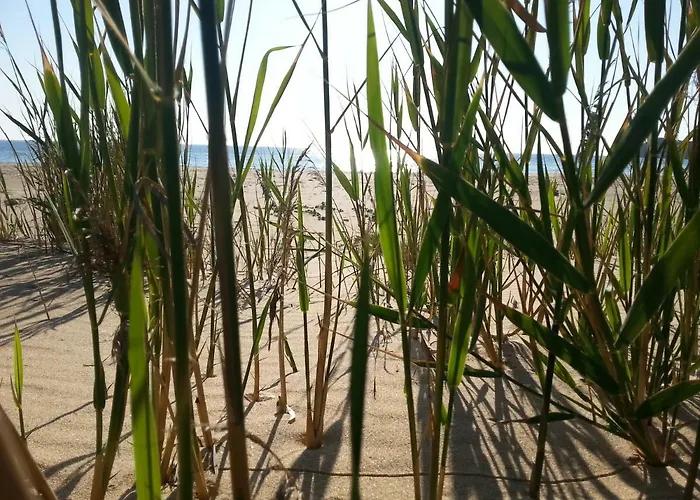 Naracauli Magazzini (Sardinia)